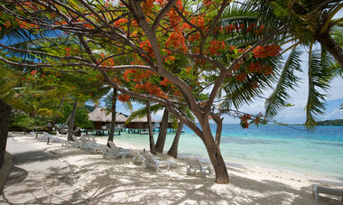 Bora Bora Tropical Romance - BOB Maitai - Overwater